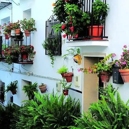 La Viajera Homestay Algarrobo